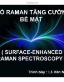 Bài thuyết trình Phổ Raman tăng cường bề mặt