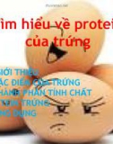 Bài thuyết trình: Tìm hiểu về protein của trứng