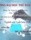 Bài thuyết trình: Nghiên cứu tình hình an toàn và vệ sinh lao động trong một số ngành nghề - Ngành sản xuất hóa chất