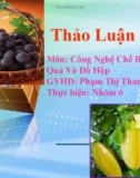 Thảo luận nhóm: Công nghệ chế biến rau quả và đồ hộp - Tìm hiểu phụ gia sử dụng trong sản phẩm nước quả cô đặc dạng rắn