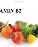 Thuyết trình Vitamin B2