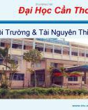 Bài thuyết trình: Chu trình lưu huỳnh (Nhóm 6)