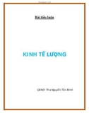 Bài tiểu luận Kinh tế lượng