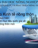 Báo cáo kinh tế nông thôn: Tình hình thực hiện chương trình mục tiêu gia về xây dựng nông thôn mới