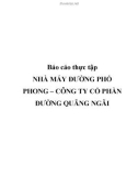 Báo cáo thực tập: Nhà máy đường phổ Phong – Công ty Cổ phần đường Quãng Ngãi