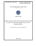 Luận văn Thạc sĩ Công nghệ sinh học: Nghiên cứu hoạt tính cảm ứng sự hình thành xương của dẫn xuất polysaccharide từ hạt cây me (Tamarindus indica L.)