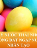 Đề tài: Xử lý nước thải nhờ hệ thống đất ngập nước