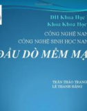 Bài thuyết trình Công nghệ sinh học Nano: Đầu dò mềm mại