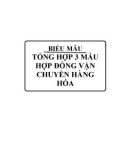 Tổng hợp 3 mẫu hợp đồng vận chuyển hàng hóa