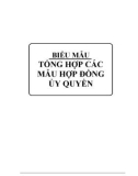 Tổng hợp các mẫu hợp đồng ủy quyền