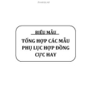 Tổng hợp các mẫu phụ lục hợp đồng cực hay