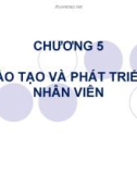 ĐÀO TẠO VÀ PHÁT TRIỂN NHÂN VIÊN - QUẢN TRỊ NHÂN LỰC