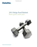 2013 Hedge Fund Outlook Some gains, more pain