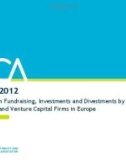 Activity Data on Fundraising, Investments and Divestments by Private Equity and Venture Capital Firms in Europe 2012