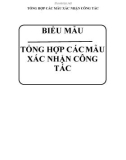 Tổng hợp các mẫu xác nhận công tác