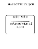 Mẫu Sơ yếu lý lịch tổng hợp