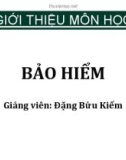 Bài giảng Bảo hiểm: Chương 1 - Đặng Bửu Kiếm