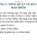 Bài giảng Bảo hiểm đại cương: Chương 1 - TS. Nguyễn Tấn Hoàng