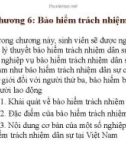 Bài giảng Bảo hiểm đại cương: Chương 6 - TS. Nguyễn Tấn Hoàng