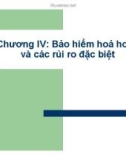 Bài giảng Bảo hiểm hoả hoạn và các rủi ro đặc biệt