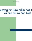 Bài giảng Bảo hiểm trong kinh doanh - Chương 4: Bảo hiểm hoả hoạn và các rủi ro đặc biệt