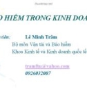 Bài giảng Bảo hiểm trong kinh doanh - Lê Minh Trâm