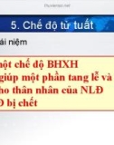 Bài giảng Bảo hiểm xã hội: Chế độ tử tuất