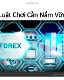 Bài giảng Bí mật Pro Forex - Bài 3: Luật chơi cần nắm vững