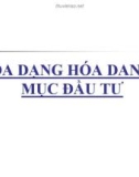 Bài giảng Đa dạng hóa đầu tư