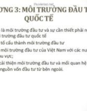 Bài giảng Đầu tư quốc tế: Chương 3 - ThS. Phạm Thành Hiền Thục