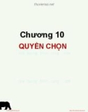 Bài giảng Đầu tư tài chính: Chương 10 - PGS.TS Trần Thị Thái Hà