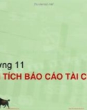 Bài giảng Đầu tư tài chính: Chương 11 - PGS.TS Trần Thị Thái Hà