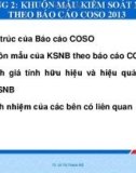 Bài giảng Kiểm soát nội bộ nâng cao: Chương 2 - TS. Lê Thị Thanh Mỹ