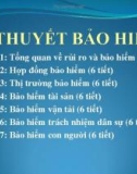 Bài giảng Lý thuyết bảo hiểm - Giới thiệu môn học