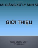 Bài giảng Xử lý ảnh số: Giới thiệu - TS. Ngô Quốc Việt