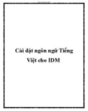 Cài đặt ngôn ngữ Tiếng Việt cho IDM