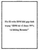 Fix lỗi trên IDM khi gặp tình trạng 'IDM tải về được 99% và không Resume'