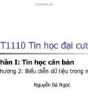 Bài giảng Tin học đại cương: Phần I (Chương 2, Phần 3) - TS.Nguyễn Bá Ngọc