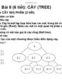 Bài 8: Cây nhị phân