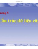 Bài giảng Cấu trúc dữ liệu: Chương 5 - Cấu trúc dữ liệu cây