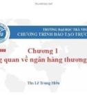 Bài giảng Ngân hàng thương mại: Chương 1 - ThS. Lê Trung Hiếu