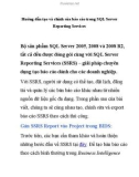 Hướng dẫn tạo và chỉnh sửa báo cáo trong SQL Server Reporting Services- P1