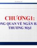 Bài giảng Nghiệp vụ ngân hàng thương mại: Chương 1 - ThS. Lê Ngọc Lưu Quang