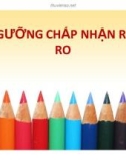 Bài giảng Ngưỡng chấp nhận rủi ro