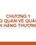 Bài giảng Quản trị ngân hàng thương mại 1 - Chương 1: Tổng quan về quản trị ngân hàng thương mại