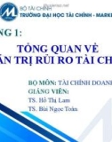 Bài giảng Tài chính doanh nghiệp: Chương 1 - TS. Hồ Thị Lam và TS. Bùi Ngọc Toản