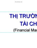 Bài giảng Thị trường tài chính ( Financial Markets )