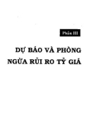 Các bài tập và giải pháp Tài chính quốc tế ứng dụng Excel: Phần 2