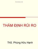 Bài giảng Thẩm định rủi ro - ThS. Phùng Hữu Hạnh (2012)