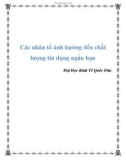 Các nhân tố ảnh hưởng đến chất lượng tín dụng ngắn hạn